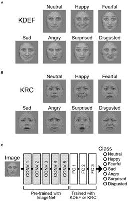 Convolutional neural networks reveal differences in action units of facial expressions between face image databases developed in different countries